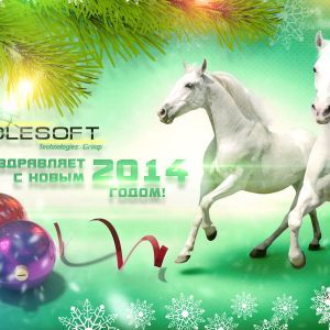 Поздравляем с Новым 2014 годом!